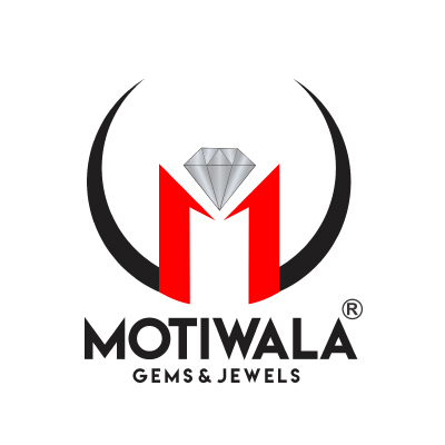 Client Logo 13